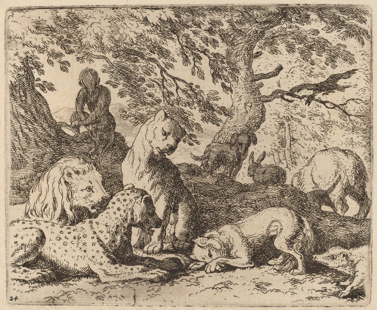 Reynard Winds His Tale and Wrongs His Father，大概在1645-1656年间。 作者 阿拉特·范·埃弗丁根