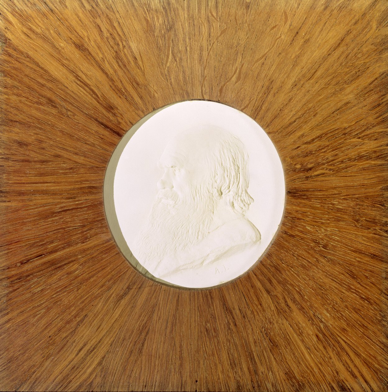 Charles Darwin（1809-82）c.1881（石膏浅浮雕） 作者 阿方斯·莱格罗斯（Alphonse Legros）