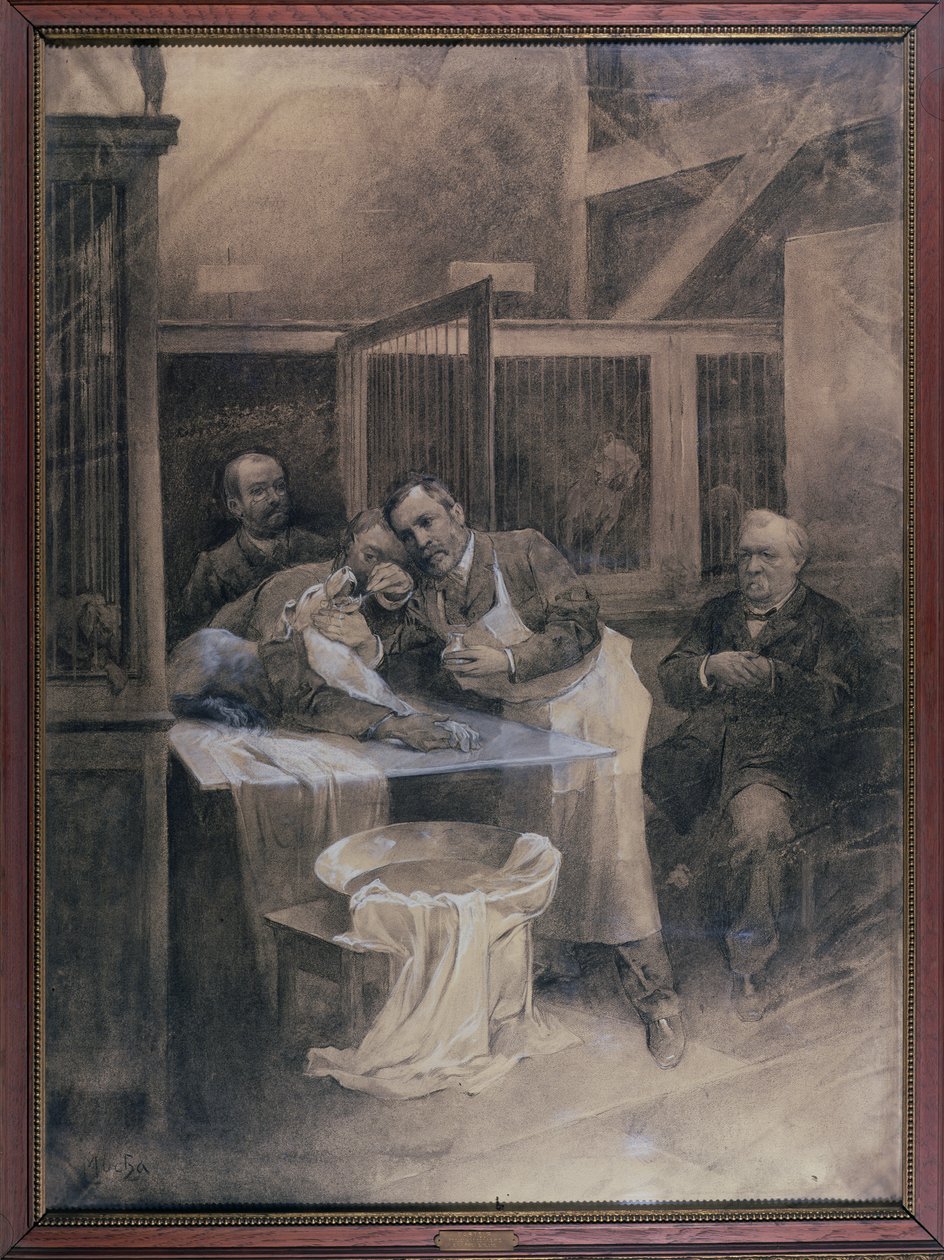 Louis Pasteur（1822-95）从狂犬病狗（木炭）中取样泡沫 作者 阿方斯·慕夏