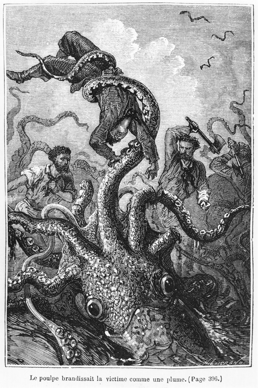 Jules Verne（1828-1905）由Henri Theophile Hildibrand（1824-97）雕刻的八卦攻击鹦鹉螺，插图来自&39;海洋联盟&39;，由Hetzel拍摄，1877年出版（engravin） 作者 阿方斯·玛丽·德·诺伊维尔