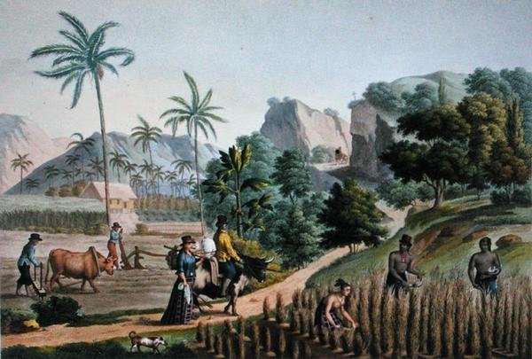 关岛。农业工程，摘自《1817-20年乌拉尼的世界之旅》，由Pomel刻制，1825年出版（雕刻版）。 作者 阿尔方斯（后）Pellion