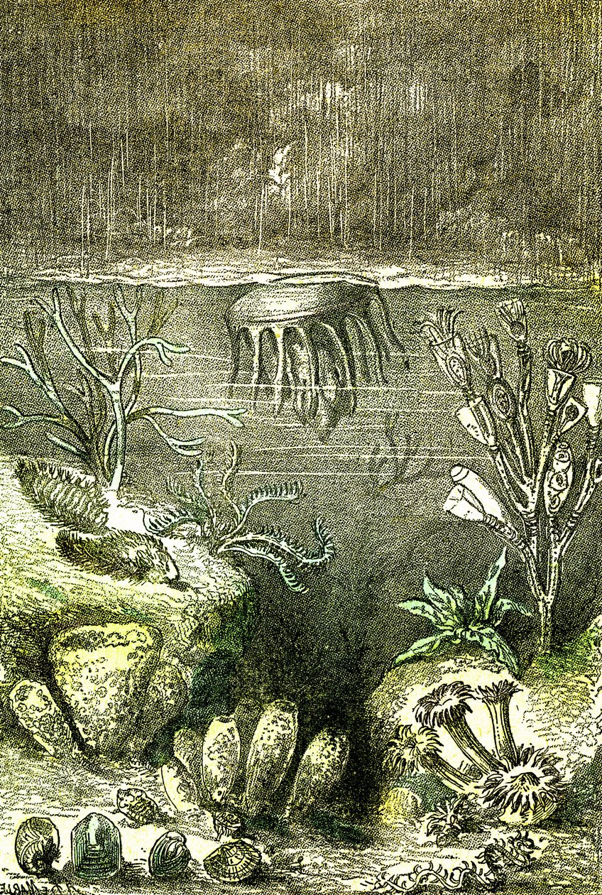 史前时代--大地与海洋：志留纪初期（J. Rengade.德马勒绘图。1885 作者 阿方斯·德马尔