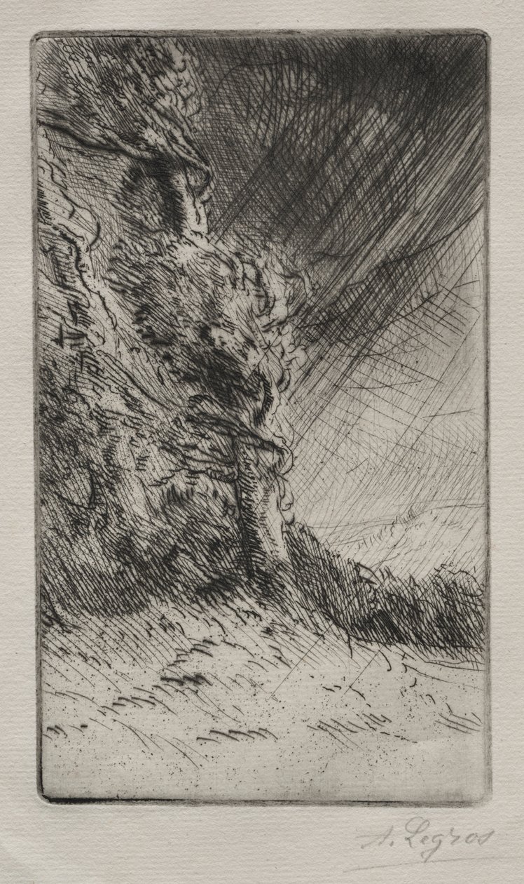 一阵风。 作者 阿方斯·莱格罗斯（Alphonse Legros）