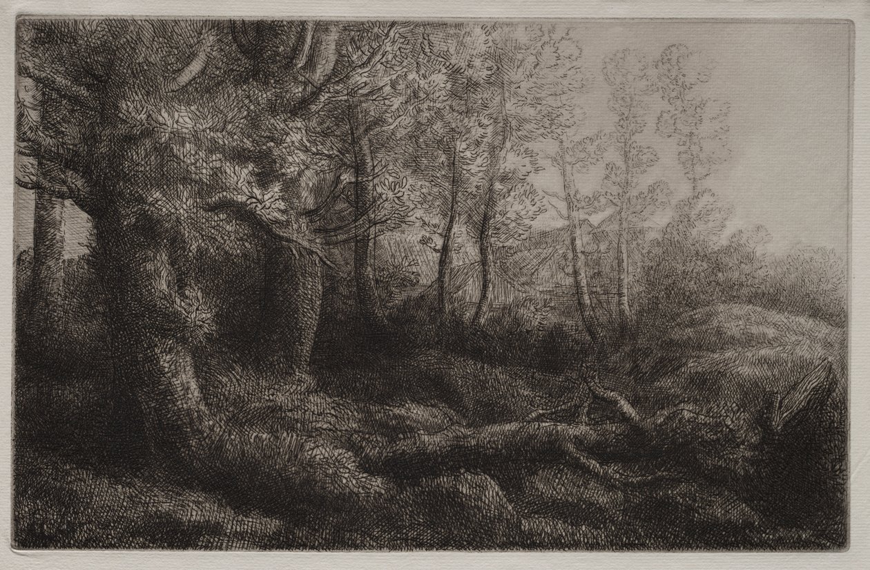 林地研究 作者 阿方斯·莱格罗斯（Alphonse Legros）