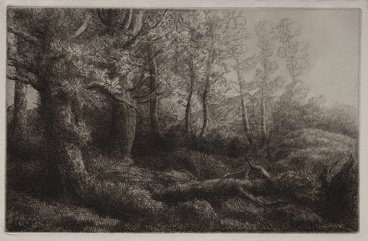 林地研究。 作者 阿方斯·莱格罗斯（Alphonse Legros）
