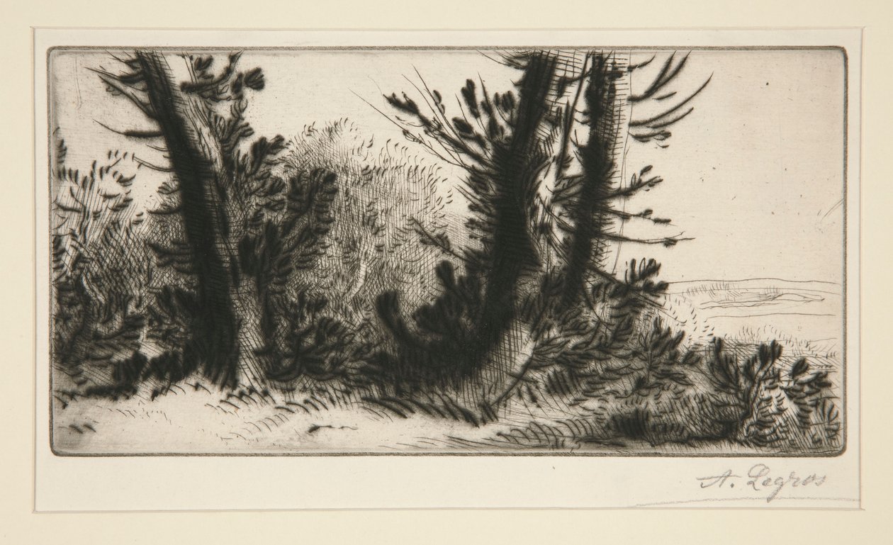 穿越冠军 作者 阿方斯·莱格罗斯（Alphonse Legros）