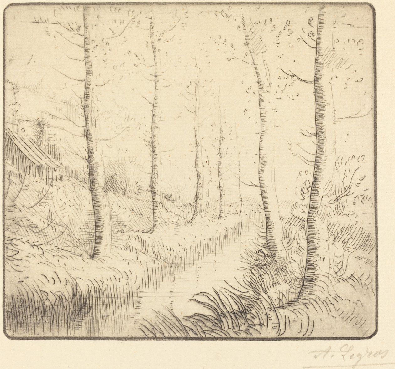 水边的白桦树 作者 阿方斯·莱格罗斯（Alphonse Legros）