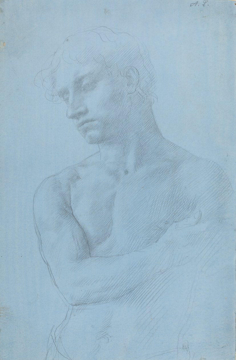 裸体男人的半身像。 作者 阿方斯·莱格罗斯（Alphonse Legros）