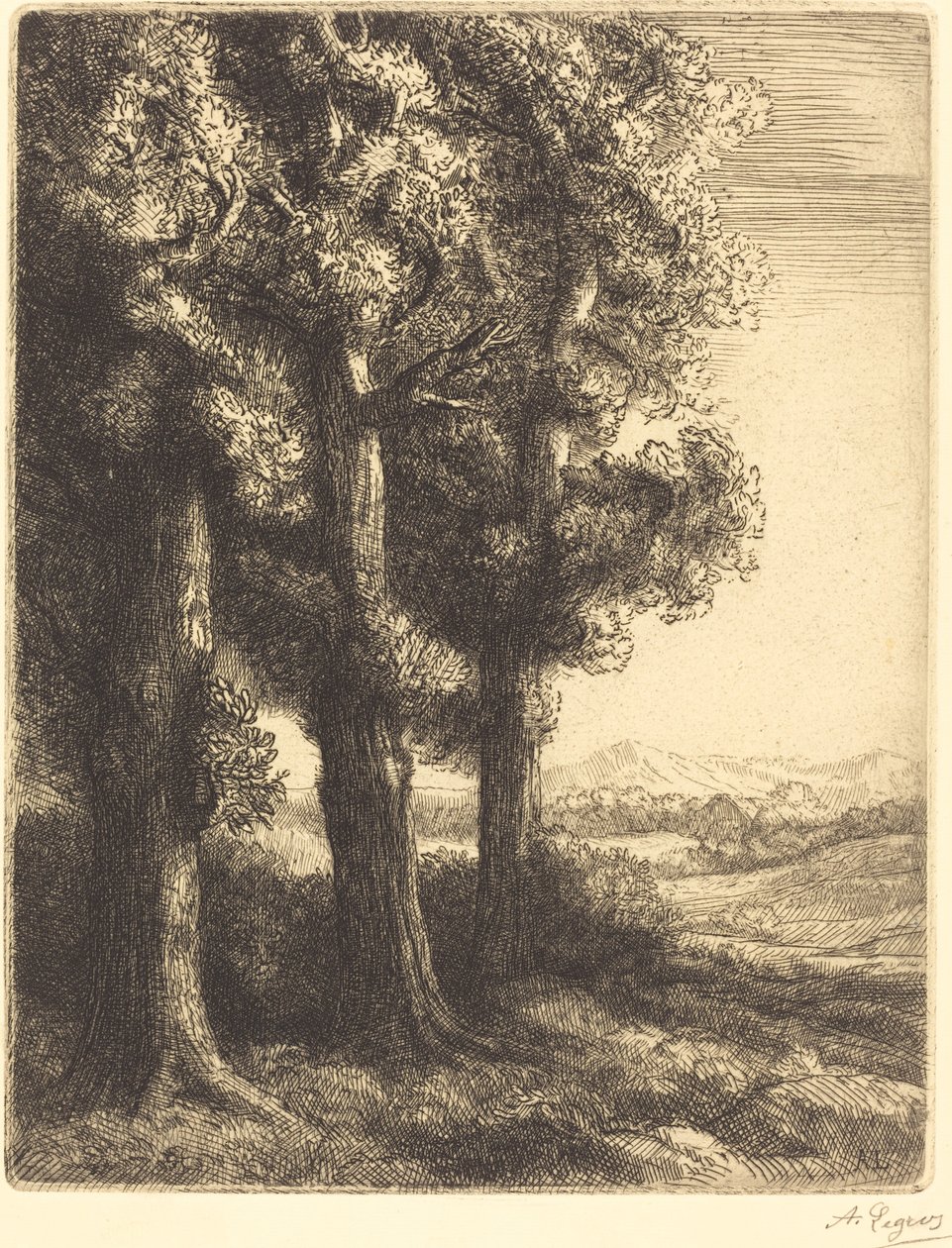 树林的一角 作者 阿方斯·莱格罗斯（Alphonse Legros）