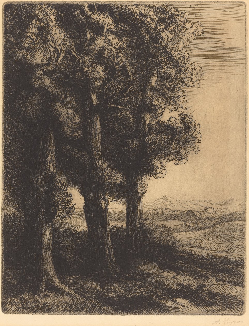 树林一角 作者 阿方斯·莱格罗斯（Alphonse Legros）
