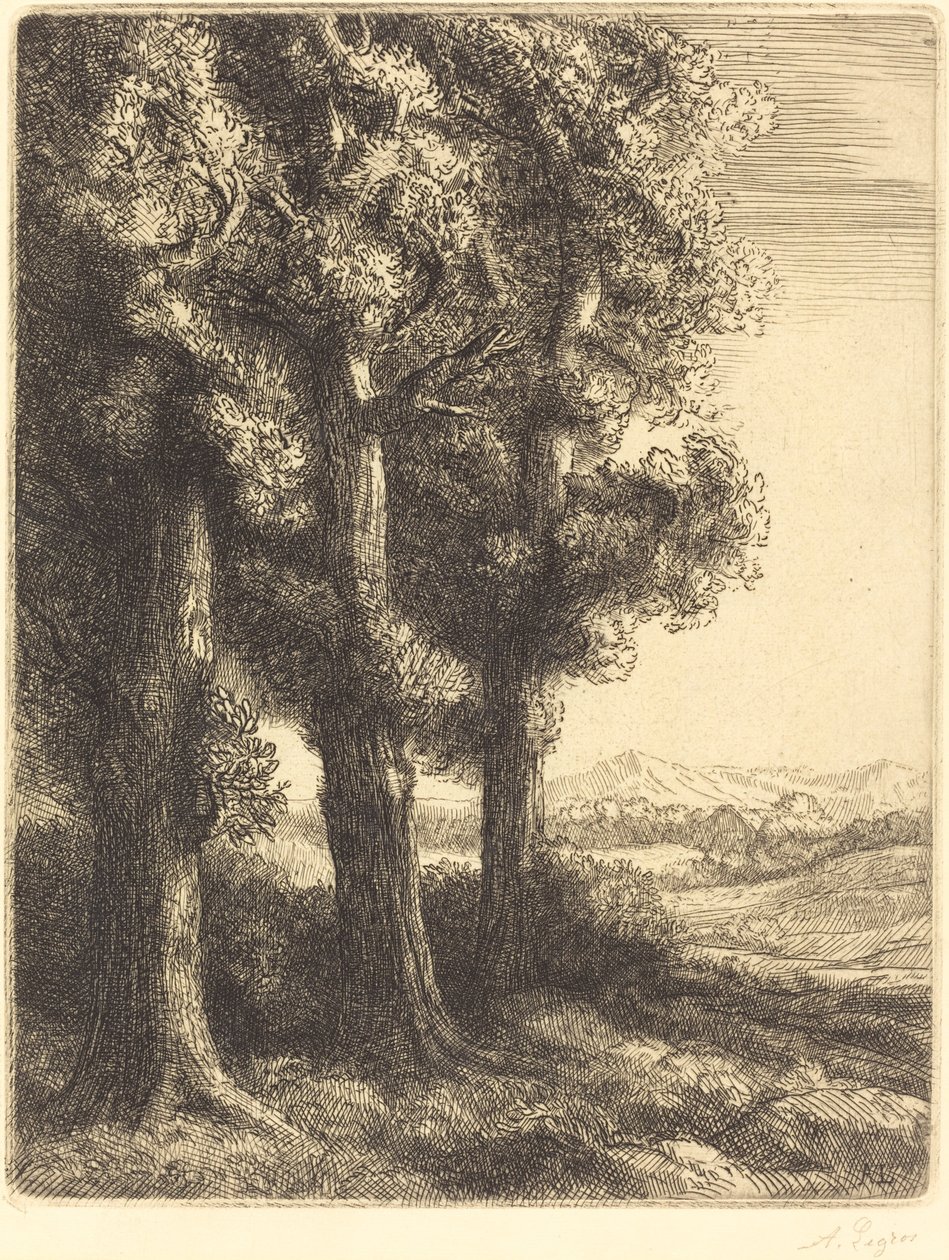 树林一角 作者 阿方斯·莱格罗斯（Alphonse Legros）