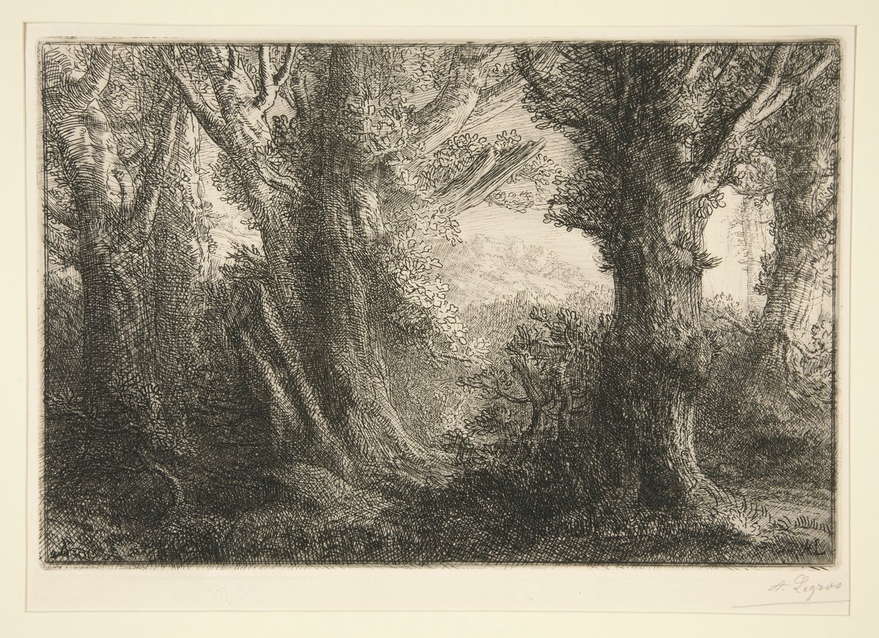 Dans la foret de Conteville（在康特维尔森林中） 作者 阿方斯·莱格罗斯（Alphonse Legros）