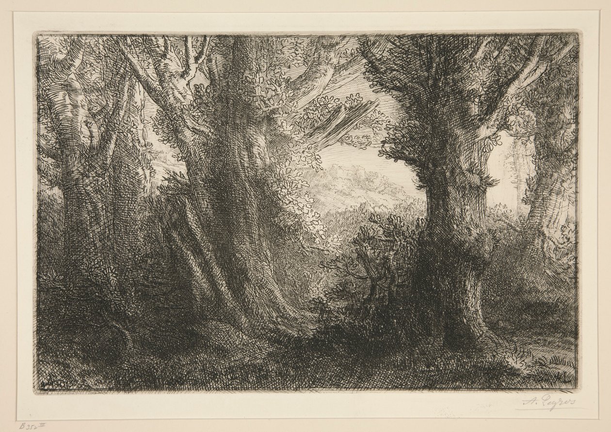 Dans la foret de Conteville（《康特维尔森林》）0 作者 阿方斯·莱格罗斯（Alphonse Legros）