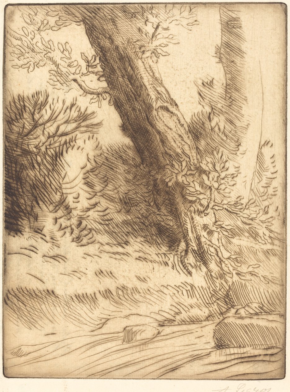 溪流边缘 作者 阿方斯·莱格罗斯（Alphonse Legros）