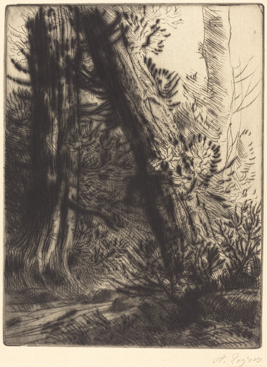 溪流的边缘Bord de ruisseau。 作者 阿方斯·莱格罗斯（Alphonse Legros）