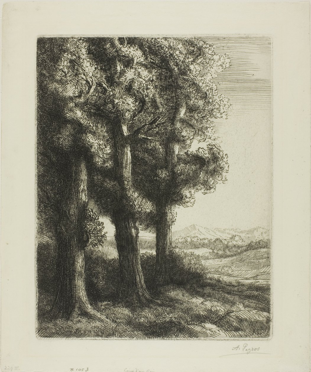 树林的边缘 作者 阿方斯·莱格罗斯（Alphonse Legros）