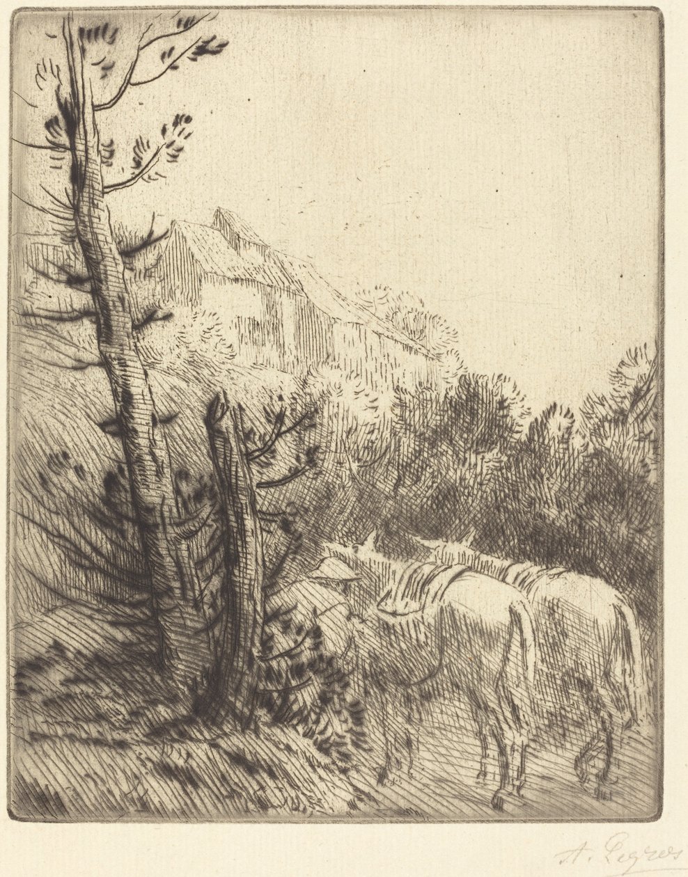 山坡上的农场 作者 阿方斯·莱格罗斯（Alphonse Legros）