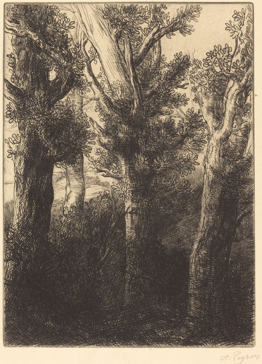 德国森林，唐利。 作者 阿方斯·莱格罗斯（Alphonse Legros）