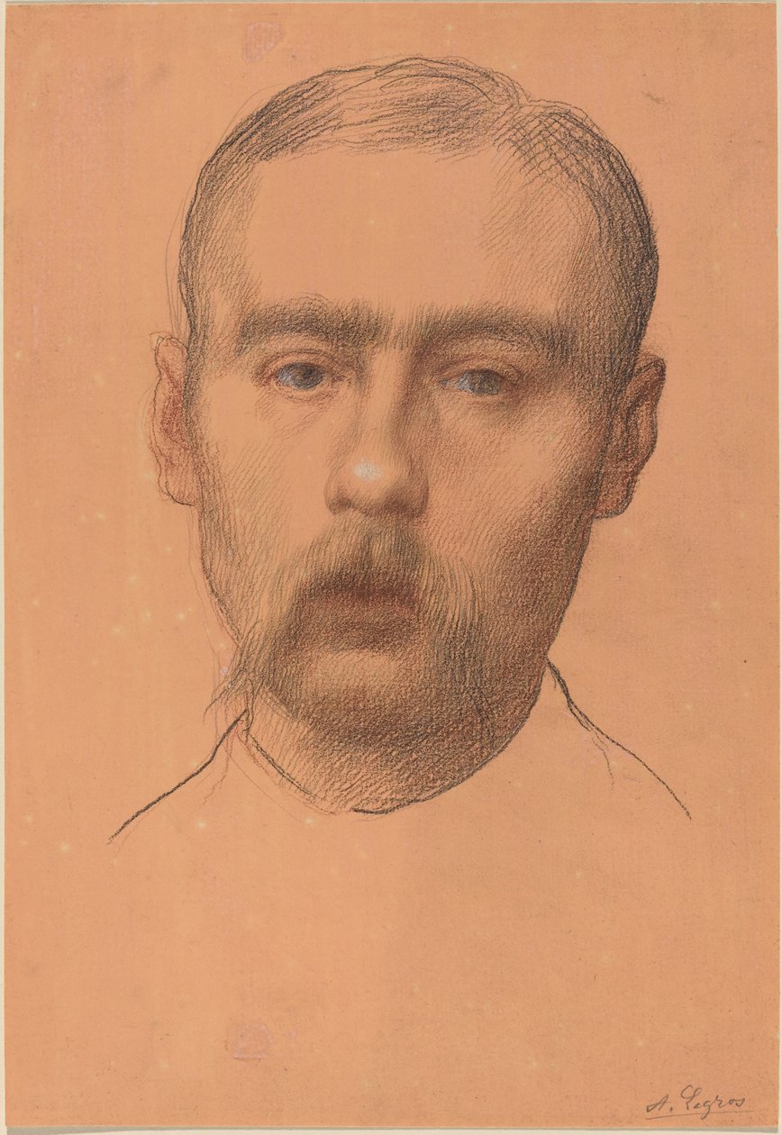 一个人的头（可能是E.D.亚当斯教授的肖像）。 作者 阿方斯·莱格罗斯（Alphonse Legros）