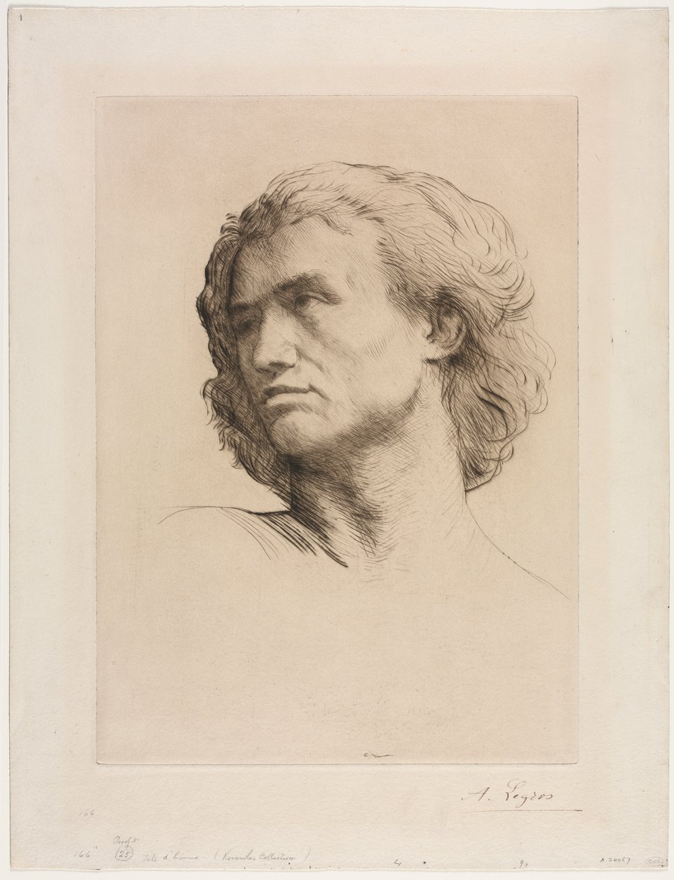 一个男人的头。 作者 阿方斯·莱格罗斯（Alphonse Legros）