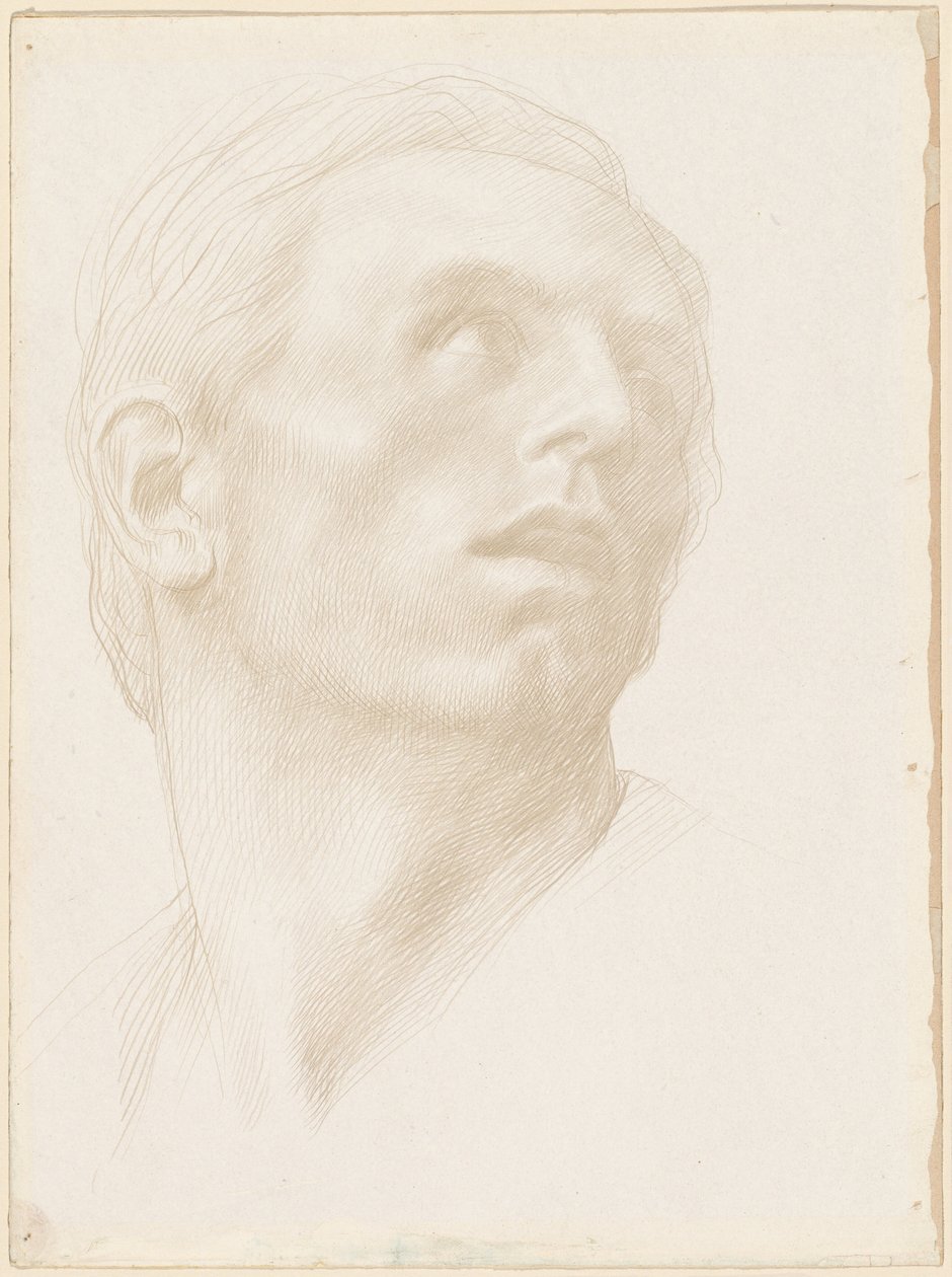 一个人的头部向右看，1890年代。 作者 阿方斯·莱格罗斯（Alphonse Legros）