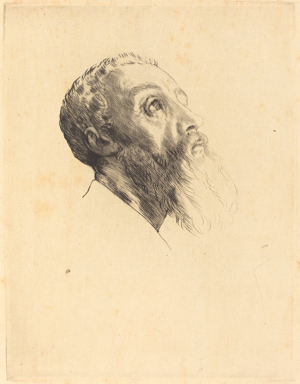 模特头像 (Tete de modele) 作者 阿方斯·莱格罗斯（Alphonse Legros）