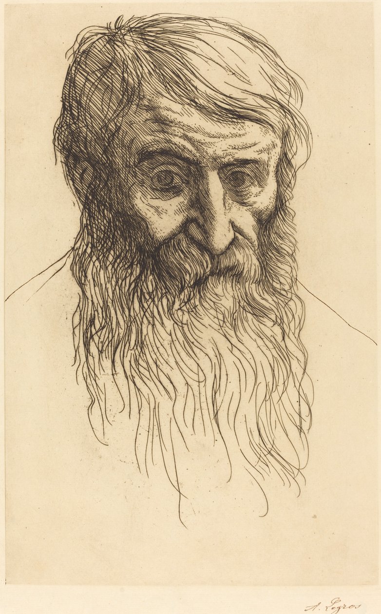 哲学家的头（Tete de philosophe） 作者 阿方斯·莱格罗斯（Alphonse Legros）