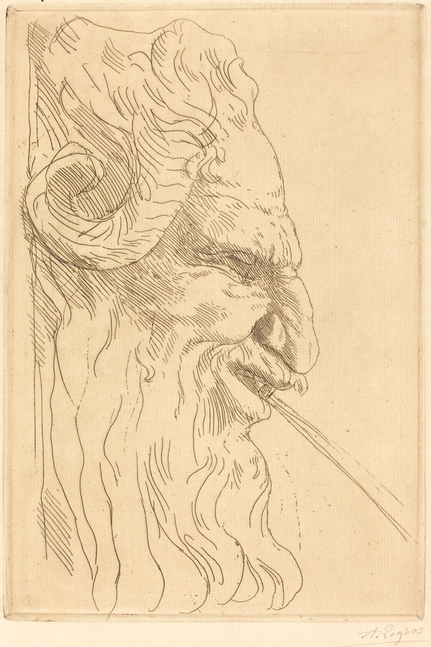 萨提尔的头颅 Tete de satyre。 作者 阿方斯·莱格罗斯（Alphonse Legros）
