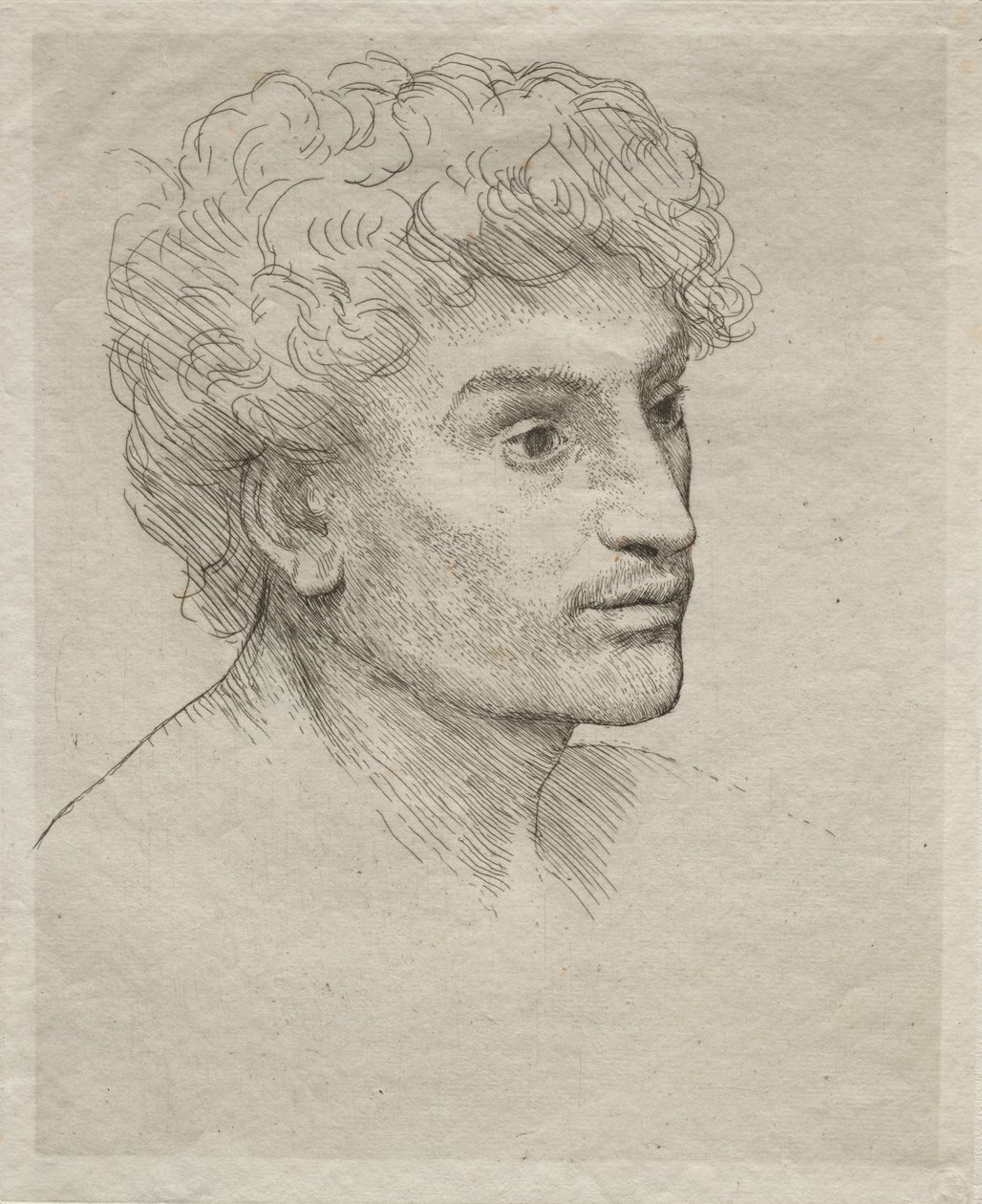 年轻人的头像 作者 阿方斯·莱格罗斯（Alphonse Legros）