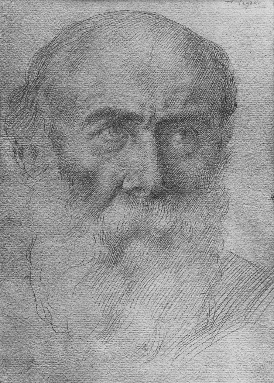 一个人的头（纸上的金点） 作者 阿方斯·莱格罗斯（Alphonse Legros）