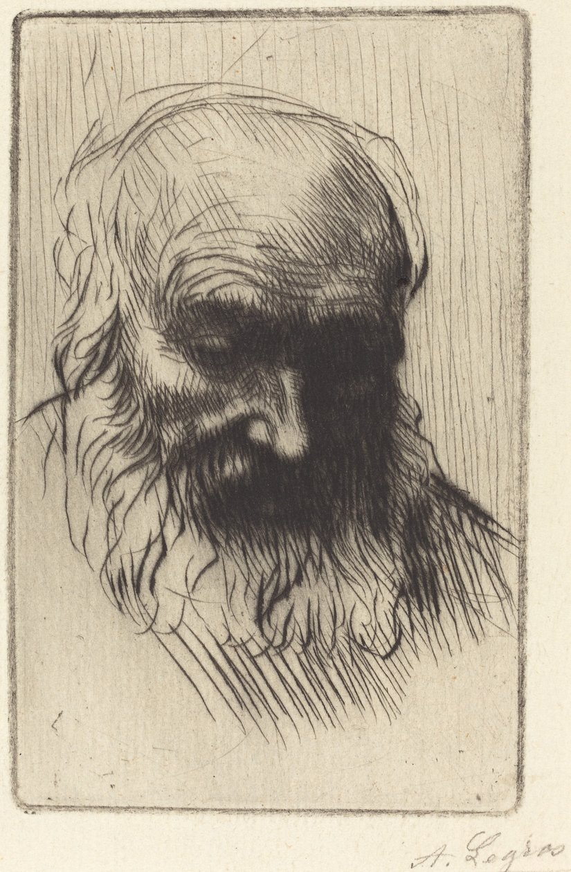 老人头像 作者 阿方斯·莱格罗斯（Alphonse Legros）