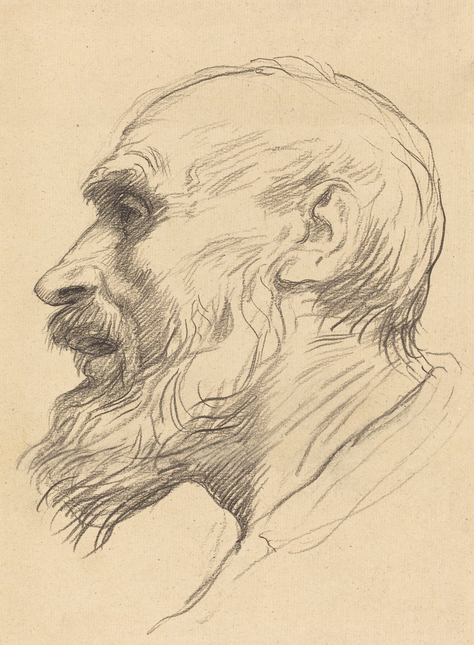 一个老人的头。 作者 阿方斯·莱格罗斯（Alphonse Legros）