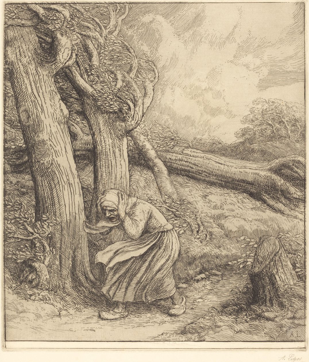 飓风 作者 阿方斯·莱格罗斯（Alphonse Legros）