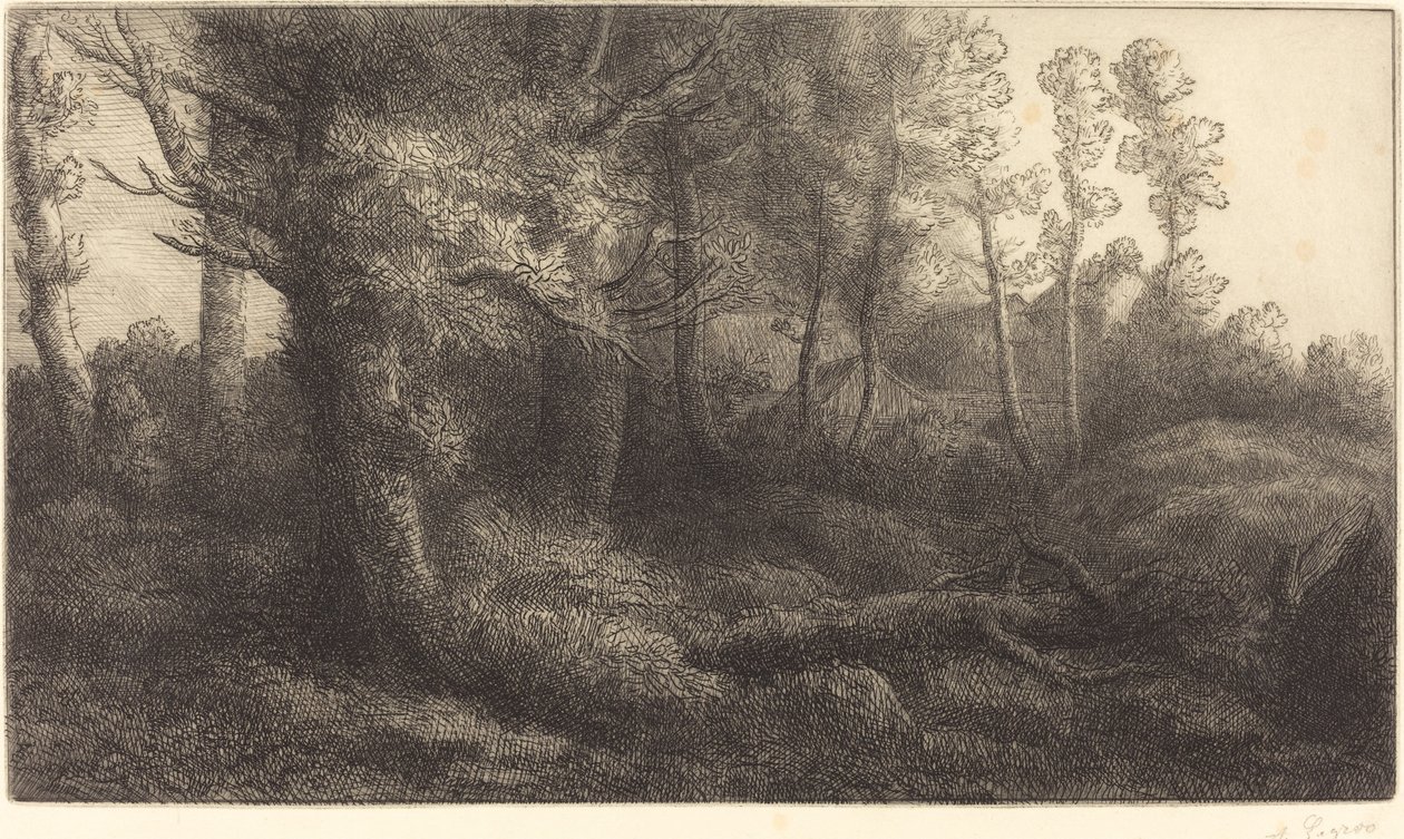 在森林里(Lisiere de foret) 作者 阿方斯·莱格罗斯（Alphonse Legros）