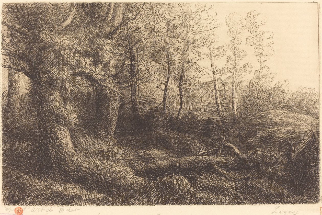 在森林中 (Lisiere de foret) 作者 阿方斯·莱格罗斯（Alphonse Legros）