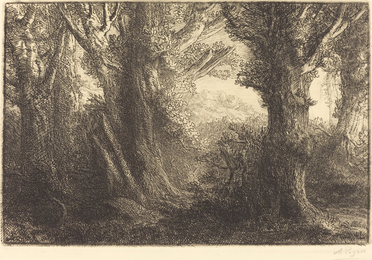 在康特维尔的森林里 Dans la foret de Conteville. 作者 阿方斯·莱格罗斯（Alphonse Legros）