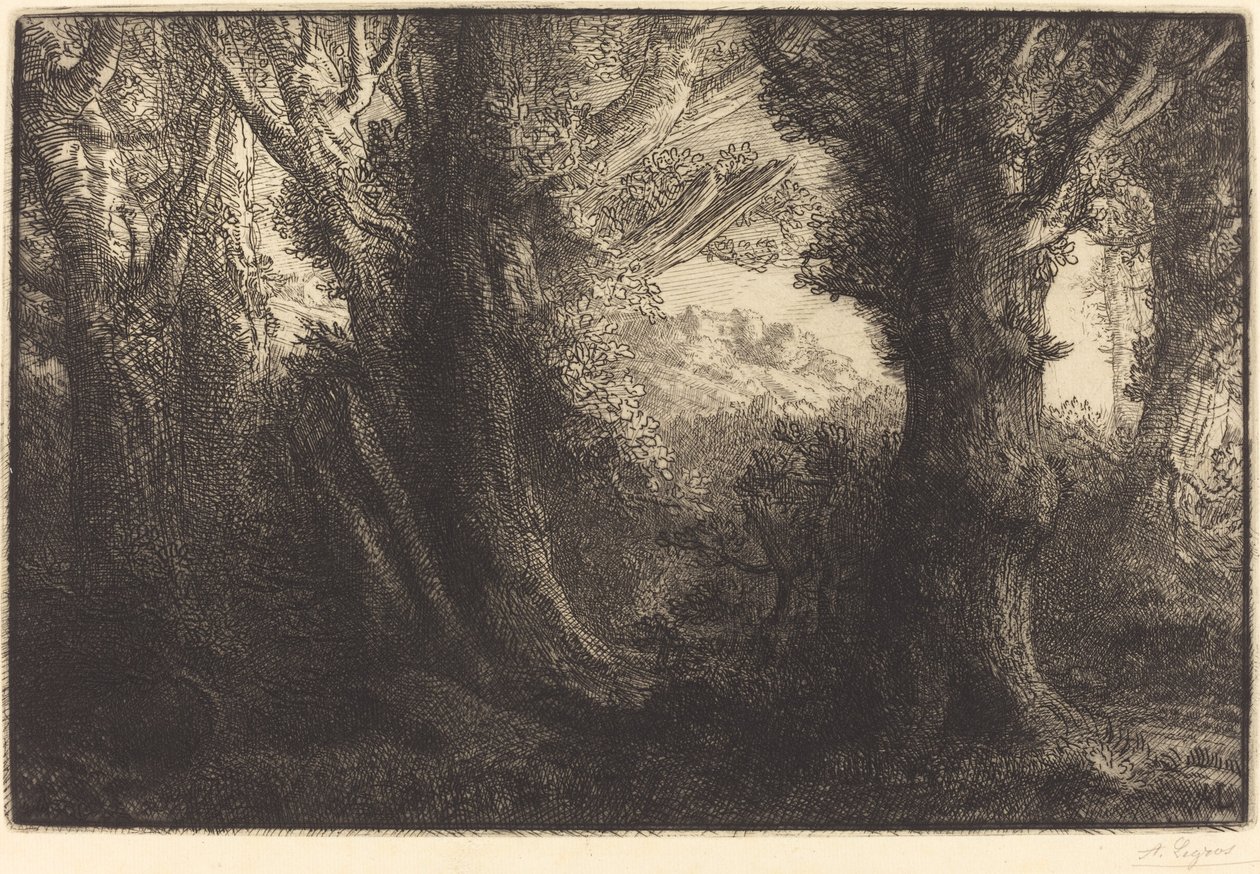在康特维尔的森林里 Dans la foret de Conteville. 作者 阿方斯·莱格罗斯（Alphonse Legros）