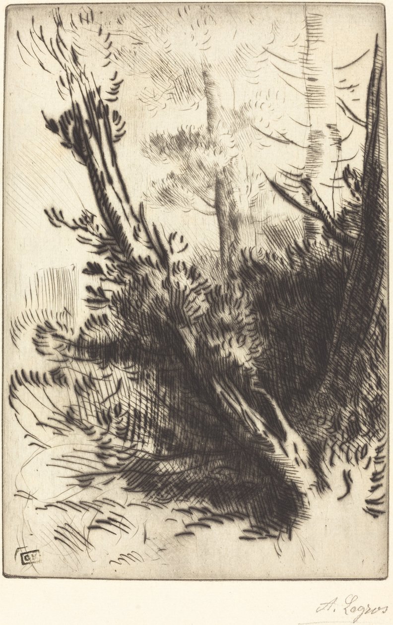 在森林里 (Dans les bois) 作者 阿方斯·莱格罗斯（Alphonse Legros）