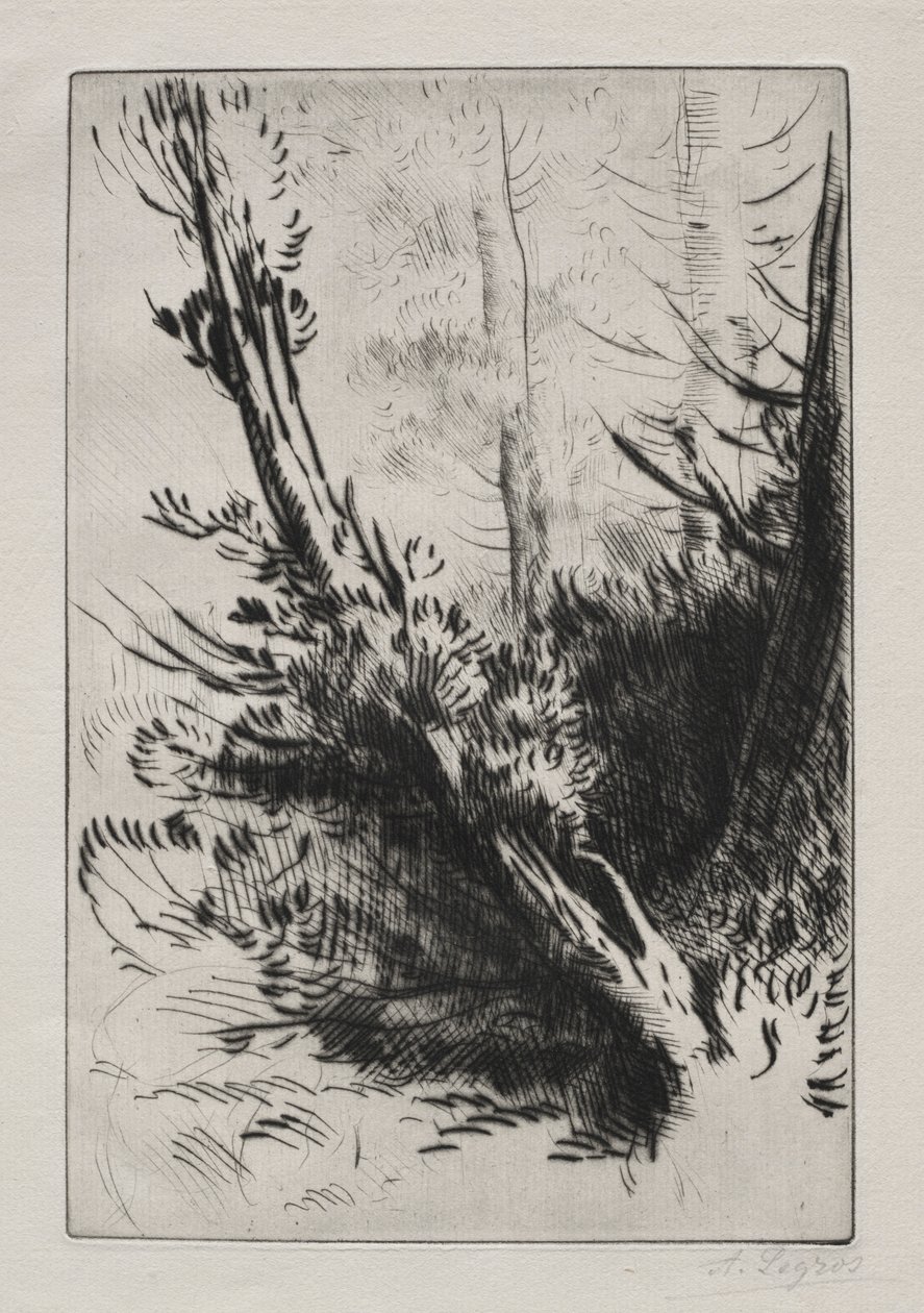 在森林里。 作者 阿方斯·莱格罗斯（Alphonse Legros）