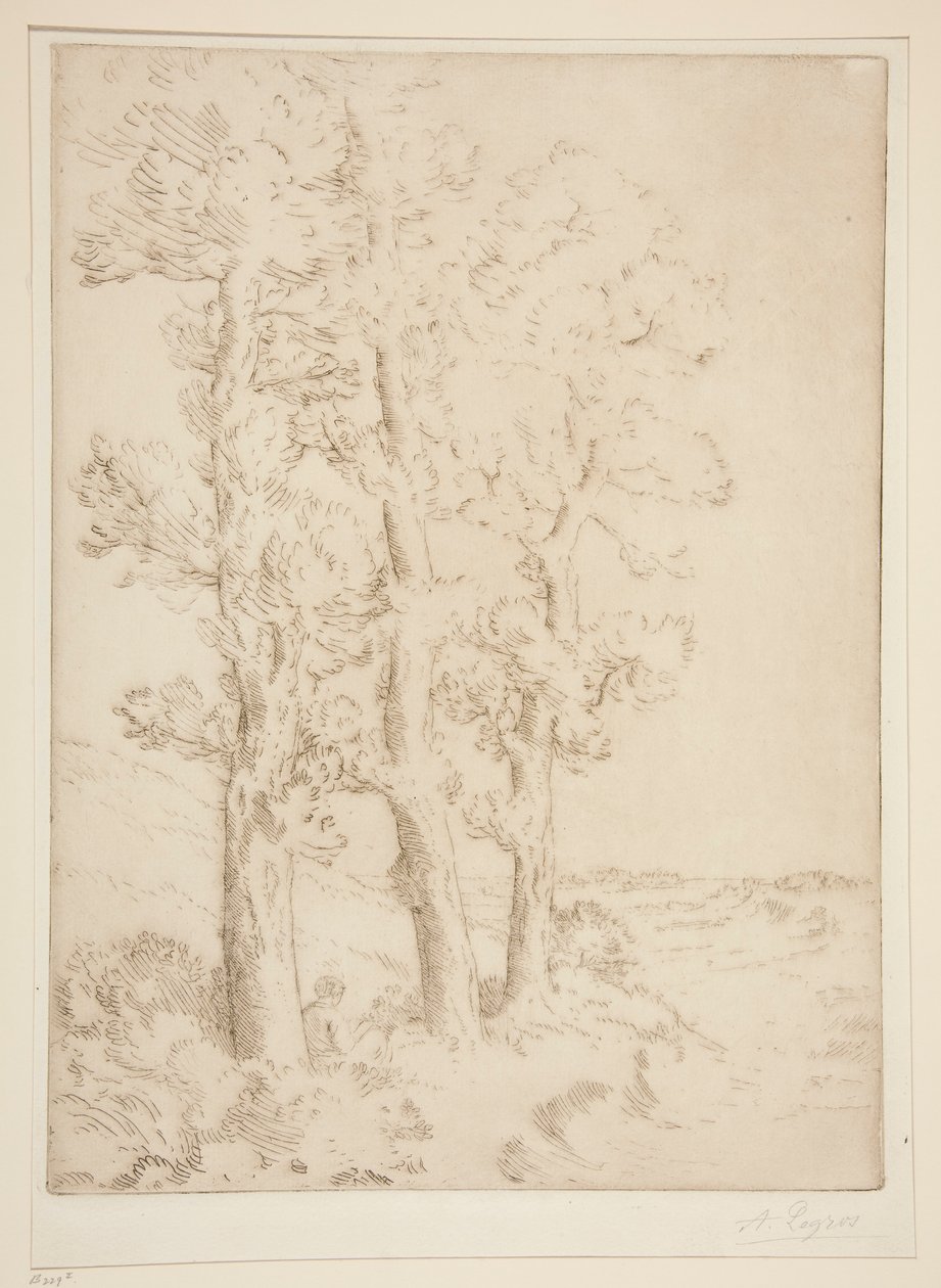 La liseuse：La lecture sous les arbres（妇女阅读：树下的课程） 作者 阿方斯·莱格罗斯（Alphonse Legros）