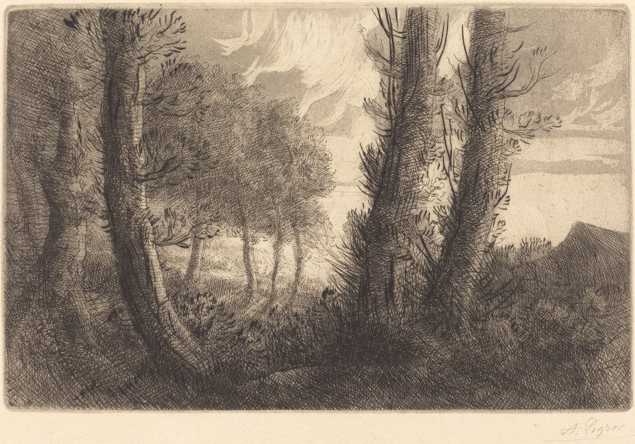 景观 作者 阿方斯·莱格罗斯（Alphonse Legros）