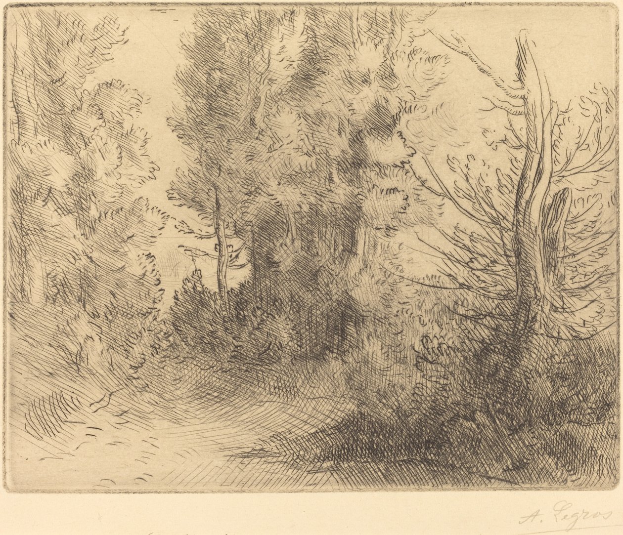 景观：靠近Chailleux (Paysage: Pres Chailleux) 作者 阿方斯·莱格罗斯（Alphonse Legros）