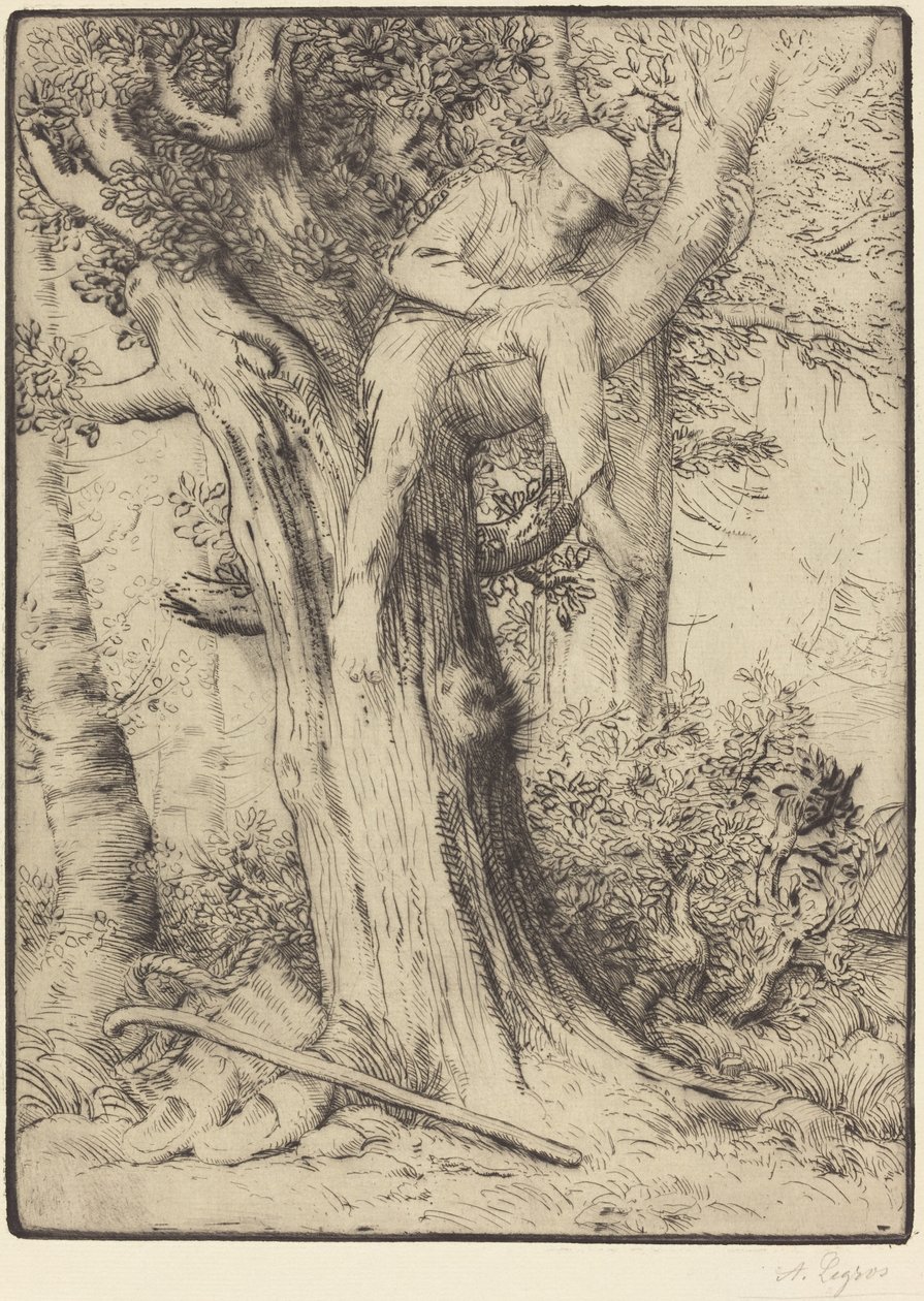 树上男孩的风景（又称 "捕鸟者"）。 作者 阿方斯·莱格罗斯（Alphonse Legros）