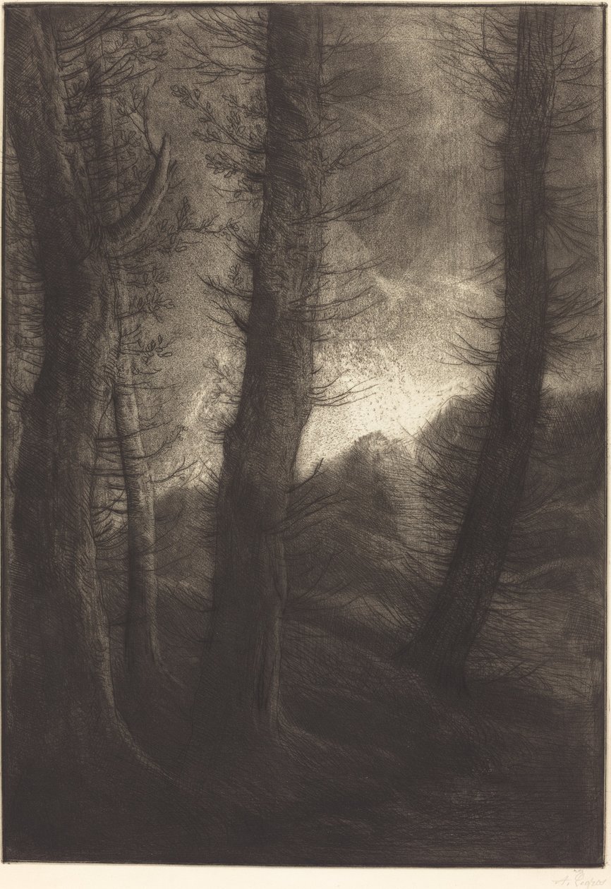 阳光下的大树 (Les grandes arbres: Effet du soir) 作者 阿方斯·莱格罗斯（Alphonse Legros）