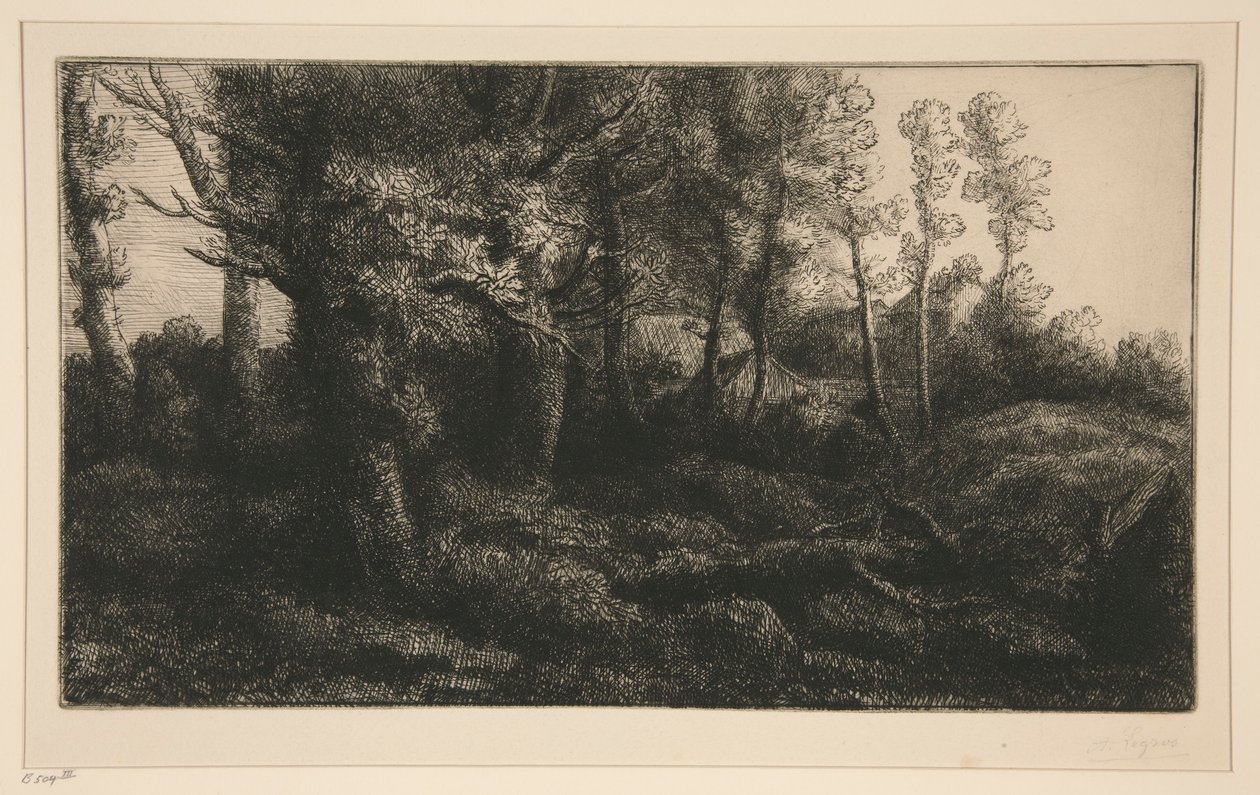 森林的边缘 作者 阿方斯·莱格罗斯（Alphonse Legros）