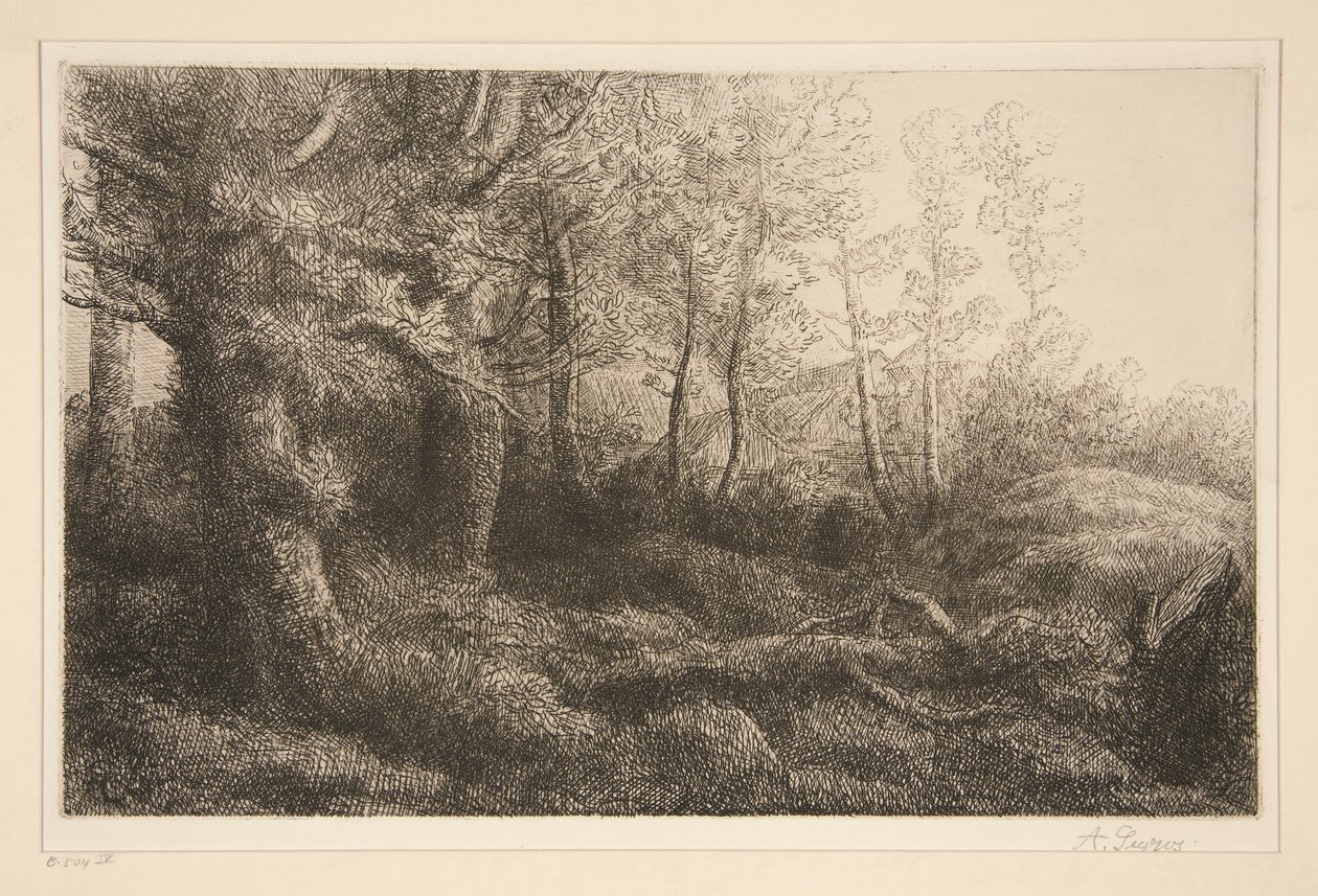 利赛雷-德-福雷特 作者 阿方斯·莱格罗斯（Alphonse Legros）
