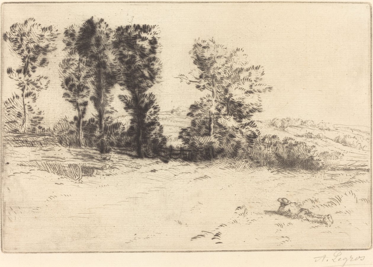 阳光下的草地 作者 阿方斯·莱格罗斯（Alphonse Legros）