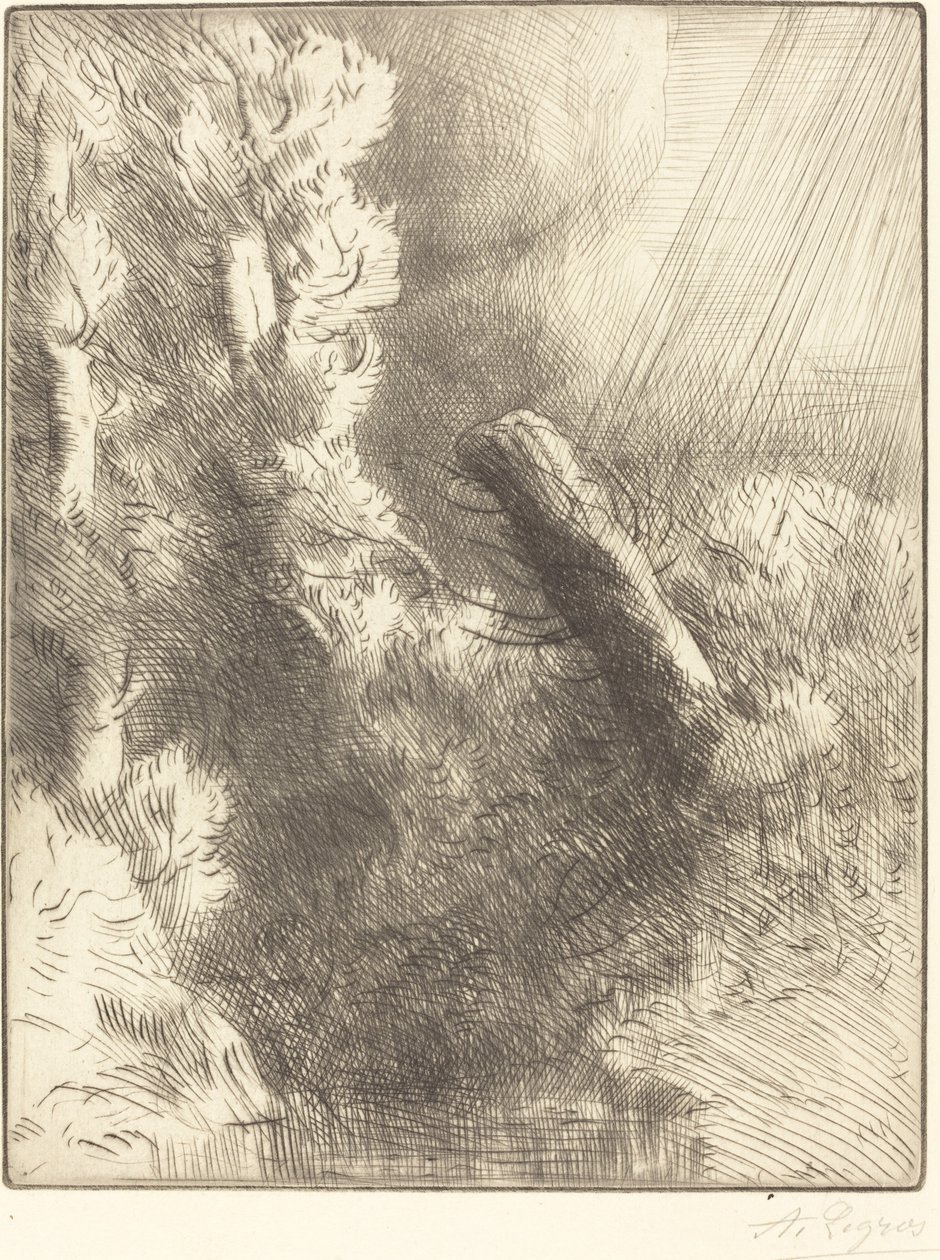 雨中的芳登堡回忆录 作者 阿方斯·莱格罗斯（Alphonse Legros）