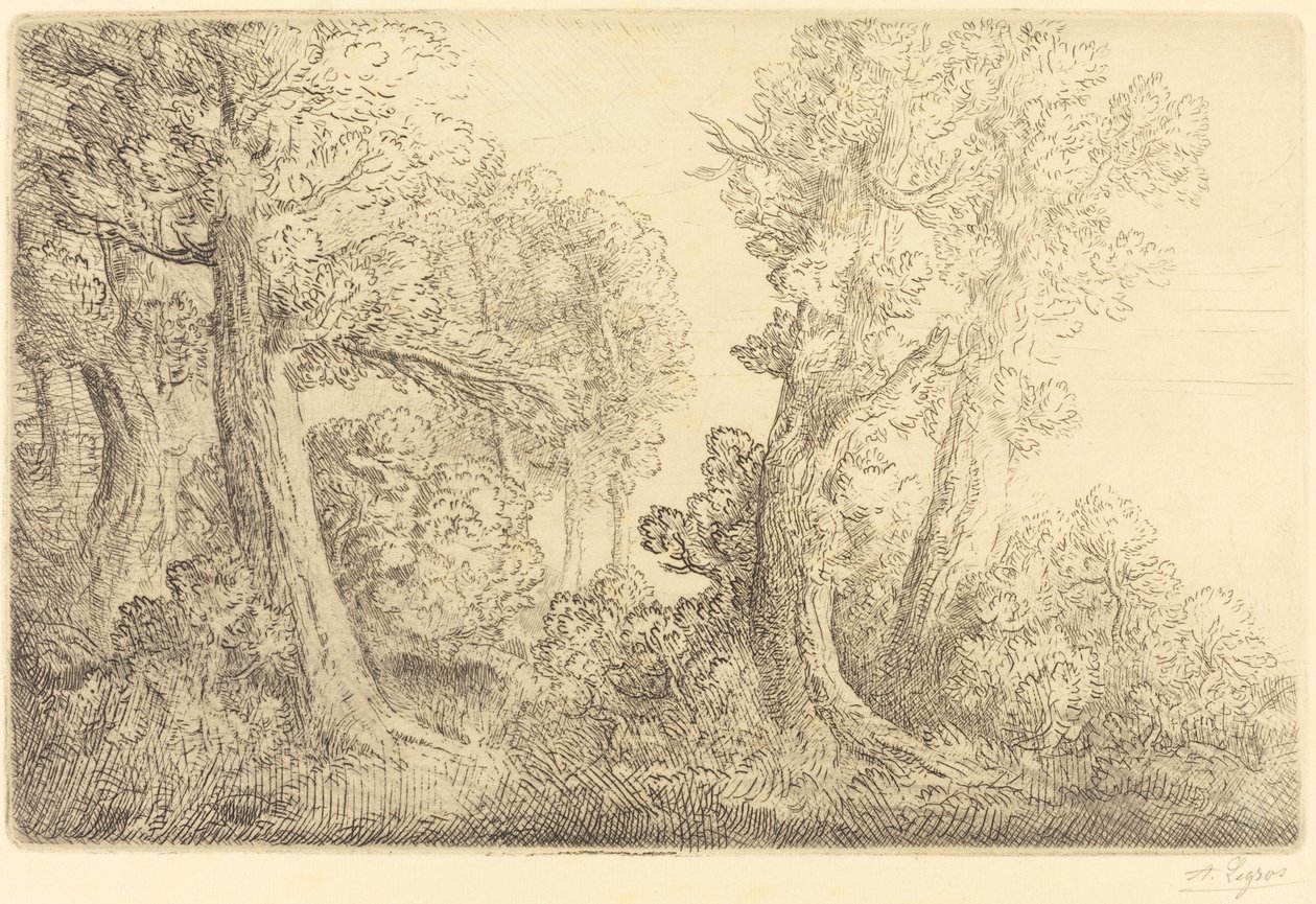 维罗纳的森林附近 (Pres du bois, Veronne) 作者 阿方斯·莱格罗斯（Alphonse Legros）