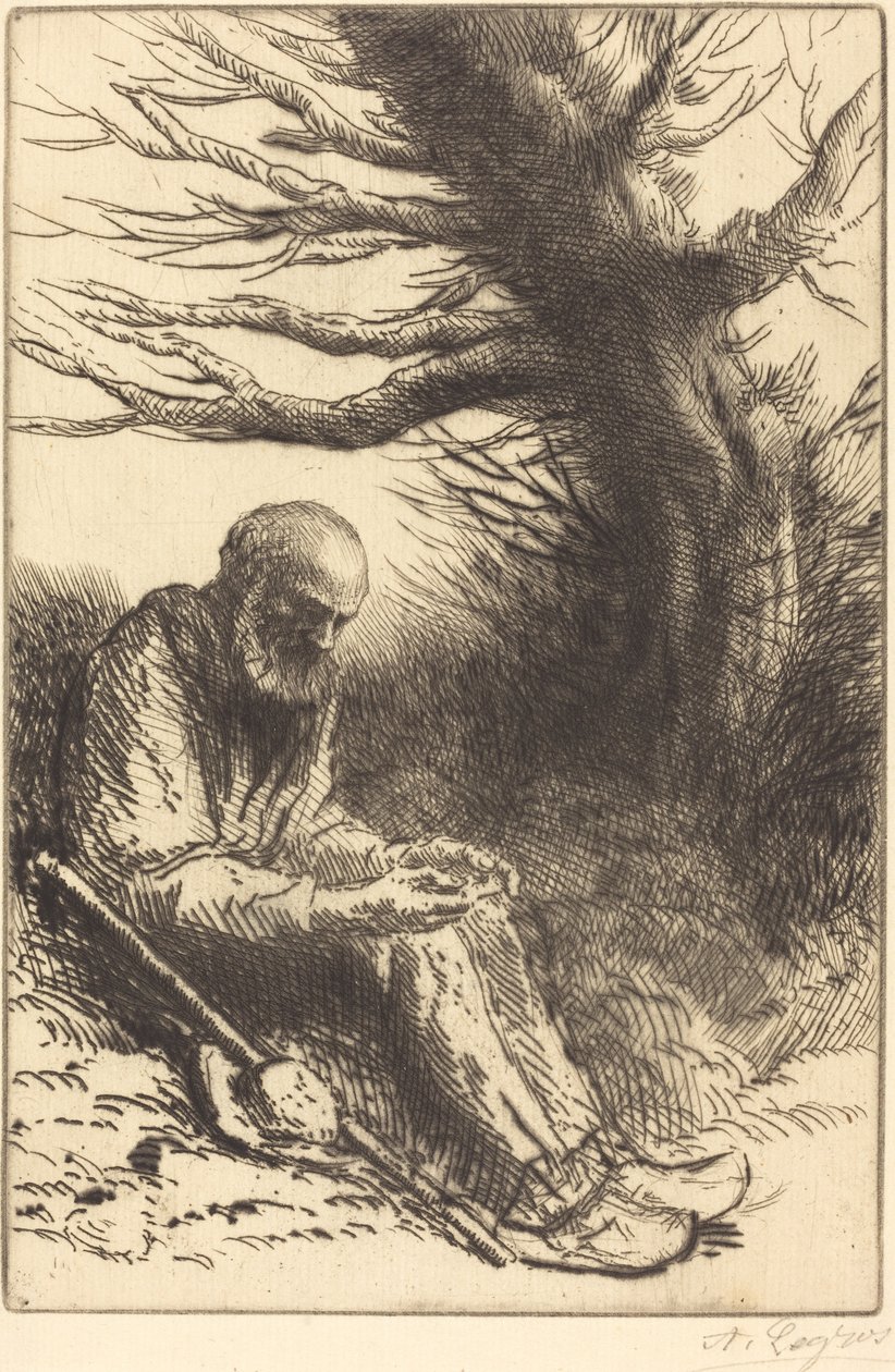老人，老树 Vieil homme, vieil arbre. 作者 阿方斯·莱格罗斯（Alphonse Legros）